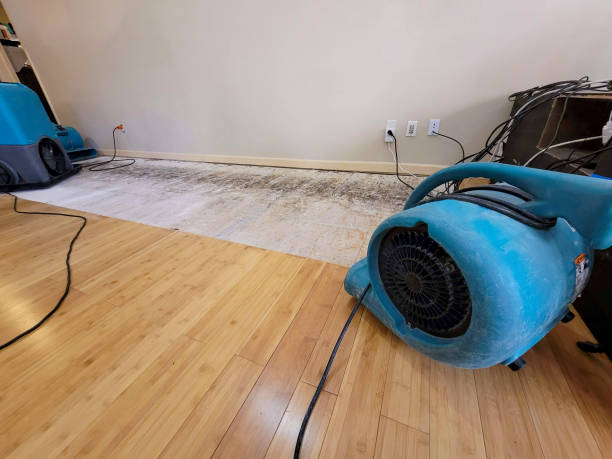 Professional Water Damage Repair technician working in Fletcher, OK